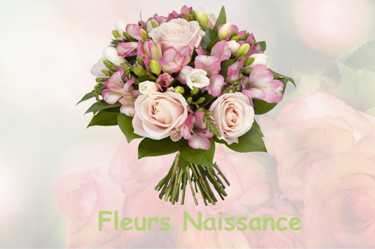 fleurs naissance LA-FERRIERE-EN-PARTHENAY